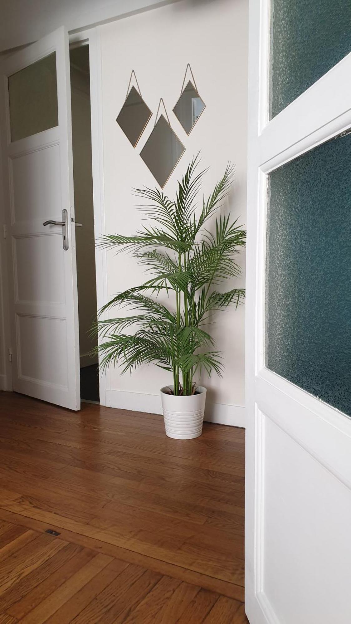 "Le Rollin Cosy" Lovely - Confort- Relax - Centre Ville - 6 Voyageurs Dijon Luaran gambar